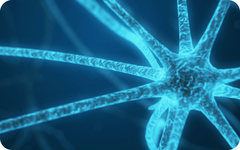 Neuro-Interventional Radiology