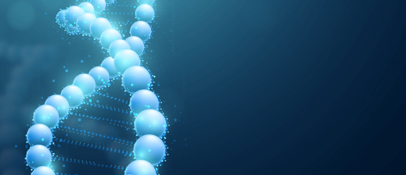 DNA Strand